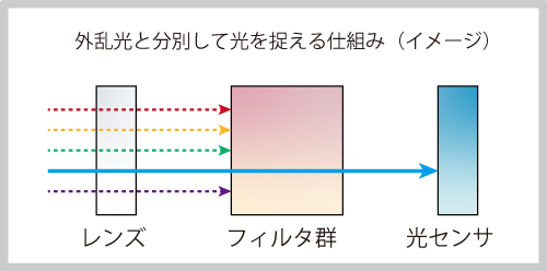 どう蛍光を捉え、識別するのか